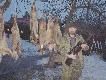  Marzec 2006 :-)    ( lisy kt�re sa w galerii "5 lis�w" to nie s� te same lisy co na tym zdj�ciu )
