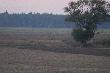 6:17 ON jakby wiedzia� �e na niego patrzymy.