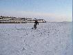 Stogi by�y d�ugie i trudno by�o je obstawi� w dwie strzelby.