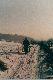 Dla Waldka Hubert by� �askaw :-))