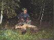 Dziczek wa�y� 71 kg. 