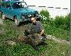Dopiero o 2:05 wyszed� odyniaszek z kukurydzy  ( m�j �smy ;-)