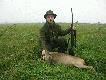 Dwie sarny podczas po�udniowego wyj�cia
Zapraszam do ogl�dni�cia zdj�� z po�udniowego wyj�cia. Upolowa�em dwie sarny.  Dztucer Remington 308 Win, 16 i 17 kg w skupie. W terenie by�em rano, oko�o 7. Niestety do 10 mg�a by�a tak g�sta, �e drzema�em sobie w samochodzie, co jaki� czas wychodz�c i spaceruj�c z Cherry. Oko�o 11, pogoda si� poprawi�a. Mg�� przewia� wiatr. Niestety lornetkuj�c teren nie zauwa�y�em �adnej sarny czy lisa. Postanowi�em przej�� si� wzd�u� rowu. Po oko�o 200 m zauwa�y�em �eruj�cego koz�a, chwil� p�niej 3 kozy. Podchodzi�em je oko�o 300 m chowaj�c si� za trzcinami obrastaj�cymi r�w. B�d�c 100 od saren postanowi�em pokona� r�w aby jeszcze bardziej si� do nich zbli�y�. Z tej pozycji nie mog�em odda� pewnego strza�u gdy� trzciny skutecznie go uniemo�liwia�y. Jak si� p�niej okaza�o r�w szeroki na 1,5 m i g��boki po pas! Ja pokona�em go on moje buty i spodnie. By�em przemoczony, na szcz�cie pomimo ha�asu sarny dalej si� pas�y. Podszed�em je na oko�o 60m i po opanowaniu oddechu odda�em strza�. Koza zaznaczy�a, przebieg�a oko�o 20 m i pad�a w trzcinach. Rudelek przebieg� jakie� 30 m i stan��. Czeka�em tak oko�o 15 minut patrz�c na rozw�j sytuacji. Postanowi�em go podchodzi�. Poniewa� wia� do�� silny wiatr w moj� stron� oraz maj�c za sob� wysokie trzciny sarny zapewne nie wiedzia�y sk�d pad� pierwszy strza�, a dalsze ich podej�cie wydawa�o si� bardzo �atwe. Zbli�y�em si� na oko�o 50m, wybra�em kolejn� najmniejsz� koz� i pos�a�em kul�. Sarna po przyj�ciu kuli na przepon� przebieg�a jeszcze oko�o 50 m i po�o�y�a si� w trawie. Wr�ci�em po samoch�d i pieska. Cho� dzie� nie zapowiada� si� ani ciekawie ani �adnie, okaza� si� du�ym sukcesem i … katarem.