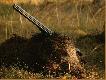 �w. Hubert sprawi� mi niesamowit� niespodziank�-rado�� mnie nape�ni�a wielka!