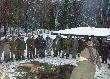 pokot ...�ania i 3 dziki .. mog�o by� i lepiej 