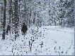 Sceneria jak na t� pore roku to chyba �adna