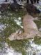 A to ju� kompletny pokot 