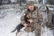 Pieski by�y przemi�e. Ten to go�czy �otewski.