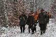 jedno z polowa� zbiorowych w moim kole (K� ''Jele�'' w Czarnem)