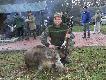 kr�l polowania z �aciatym dzikiem