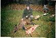 Zosta�em Kr�lem Polowania.Lis r�wniesz strzelony brenek�.