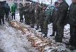 Polowanie wigilijne 2005 r. pow. garwoli�ski. W tym roku pokot nie by�, a� tak obfity