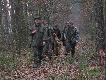 W nast�pnym, go�� strzeli� �adnie wybarwionego lisa.