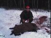 Po strzelonej Lani przyszla pora na dzika - zostalem krolem tego polowania  
Miejsce "PIASKOWA DROGA"