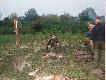 pierwszy jele�-cielak da� mi jeszcze tytu� kr�la, te� pierwszy raz.