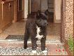 Ares w ca�ej krasie
