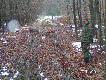 Kol. Jurek i strzelony lis