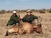 Hartebeest Andrzeja - gratulacje